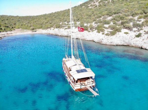 Saraçoğlu vip bodrum
